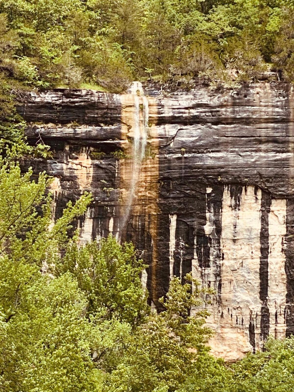 Butterfly Ridge Cabin - At The Top Of The Canyon Jasper Εξωτερικό φωτογραφία
